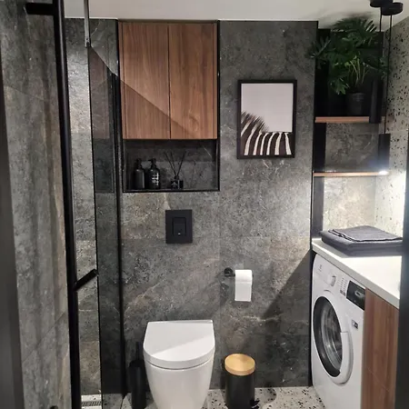Stylish Loft Wilna