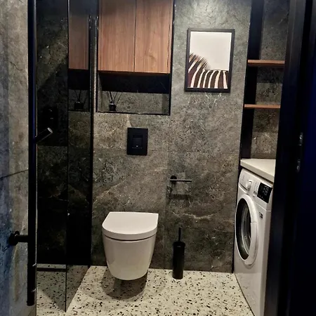 Stylish Loft Вильнюс